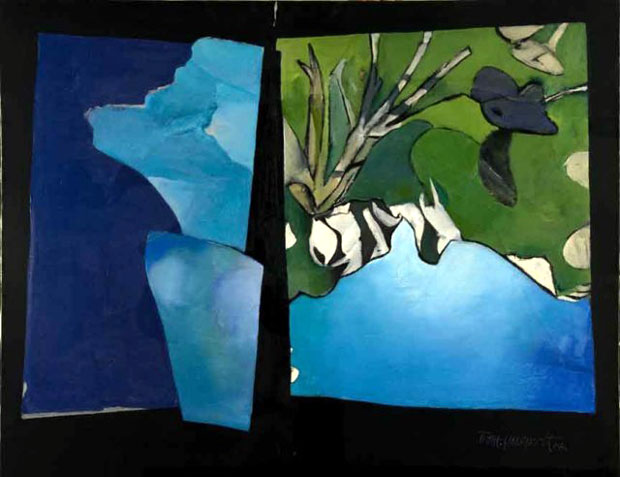 Чаролија Тропа